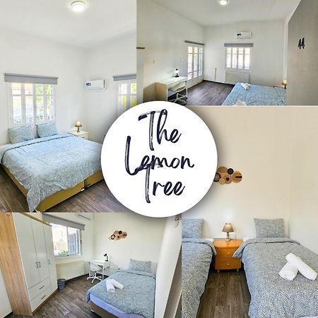 The Lemon Tree Hostel Larnaca Exteriér fotografie
