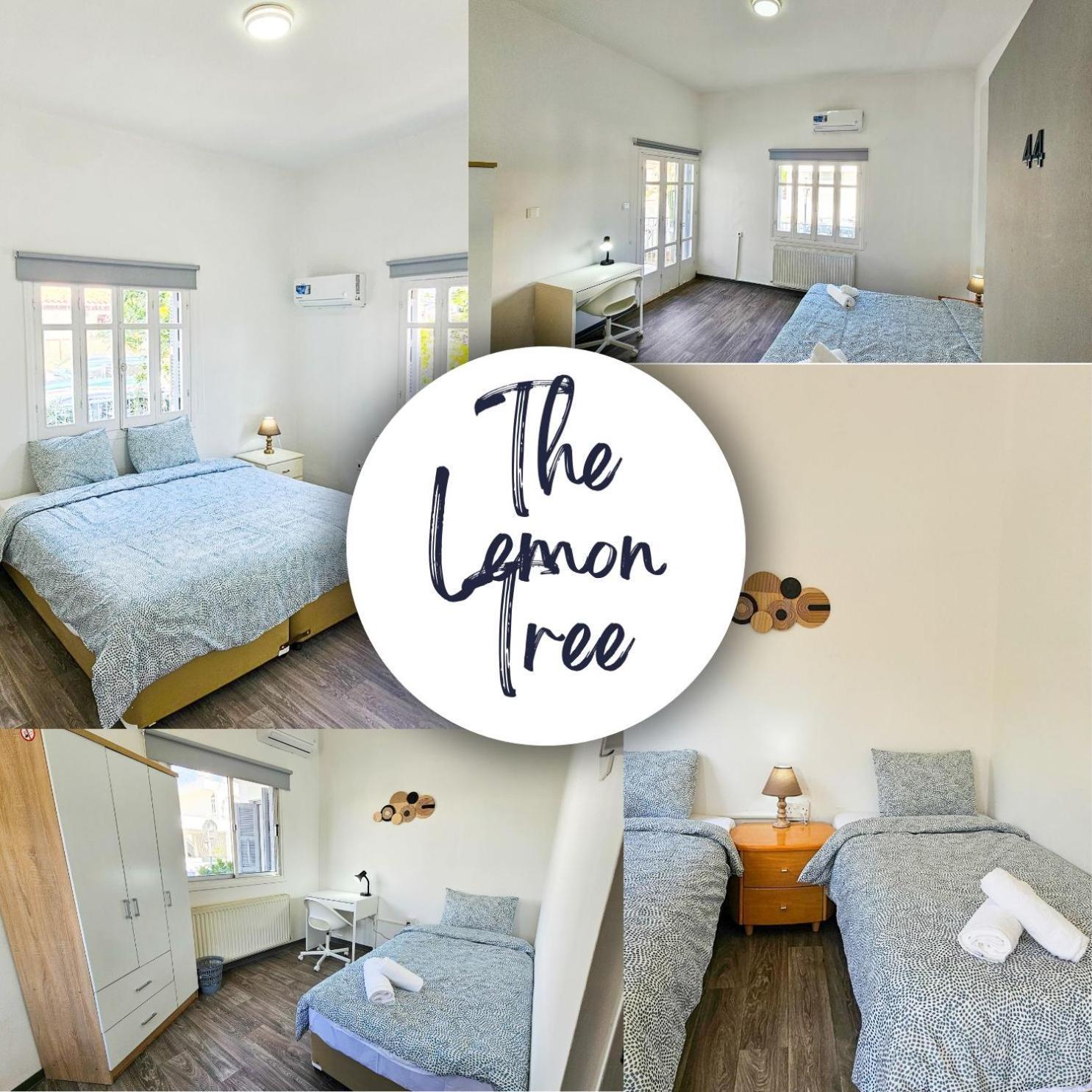 The Lemon Tree Hostel Larnaca Exteriér fotografie